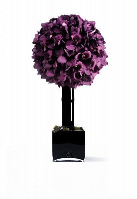 HERVE GAMBS куст 70 фиолетовых орхидей 35*70 см
